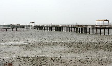 美服NSO新一期试玩同乐会 免费游玩《宝可梦铁拳DX》